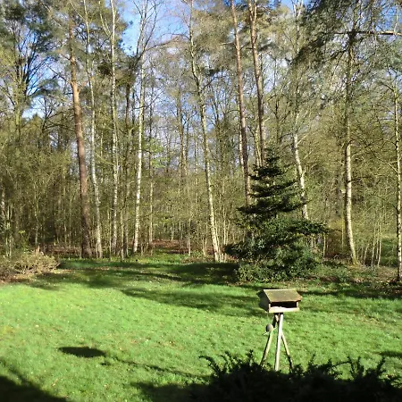 Bachforelle * Neuenkirchen (Heidekreis)