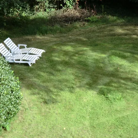 Bachforelle Neuenkirchen (Heidekreis)