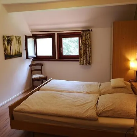 Bachforelle Neuenkirchen (Heidekreis)