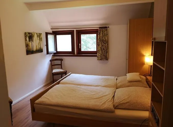 Bachforelle Neuenkirchen (Heidekreis)